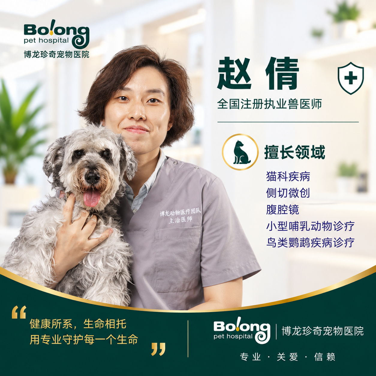 赵倩